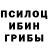 Галлюциногенные грибы Magic Shrooms seregaYouTub