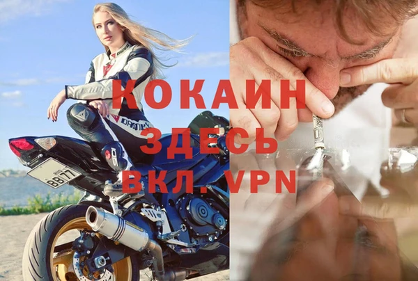 spice Аркадак