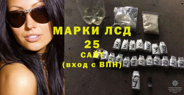 spice Аркадак