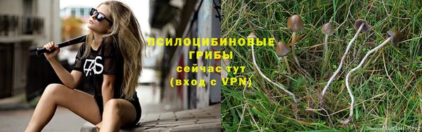 спайс Армянск